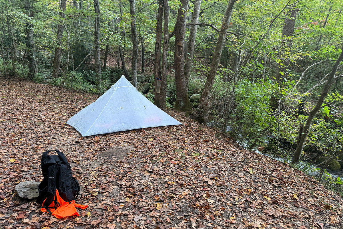 A STUDY ON THE BENTON MACKAYE TRAIL WITH PROFESSOR CARL