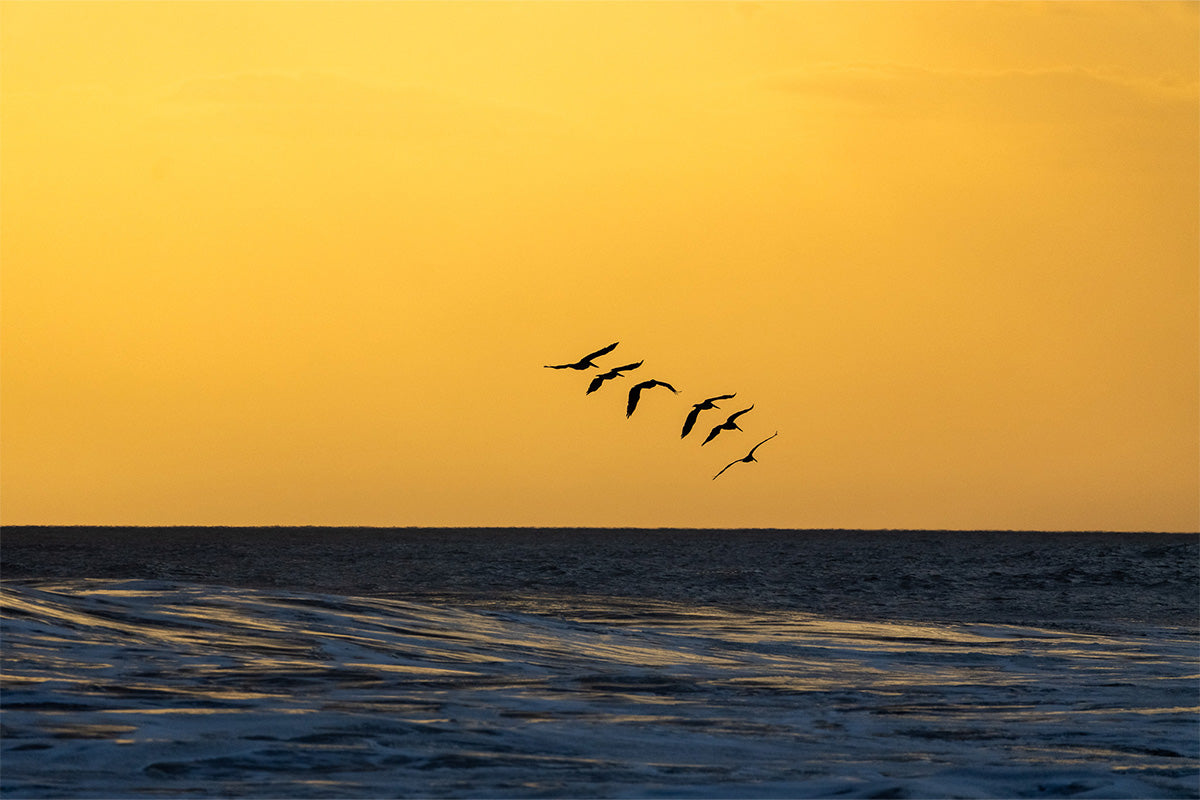 ROLLING TIDES: FORWARD TO THE HERE AND NOW