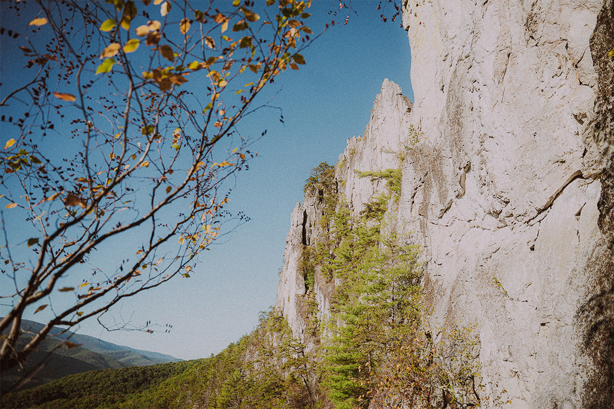 KAREN LANE SHARES THE GREEN MAGIC OF SENECA ROCKS