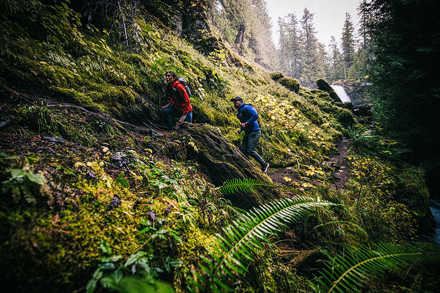 Two hikers on a rocky, moss-covered trail in a forested area.