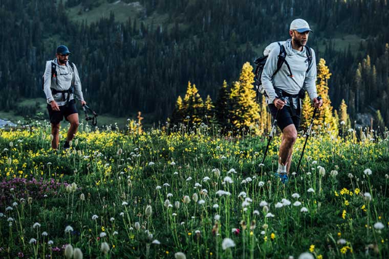 Two hikers with backpacks walking through a field of wildflowers with a forest in the background.