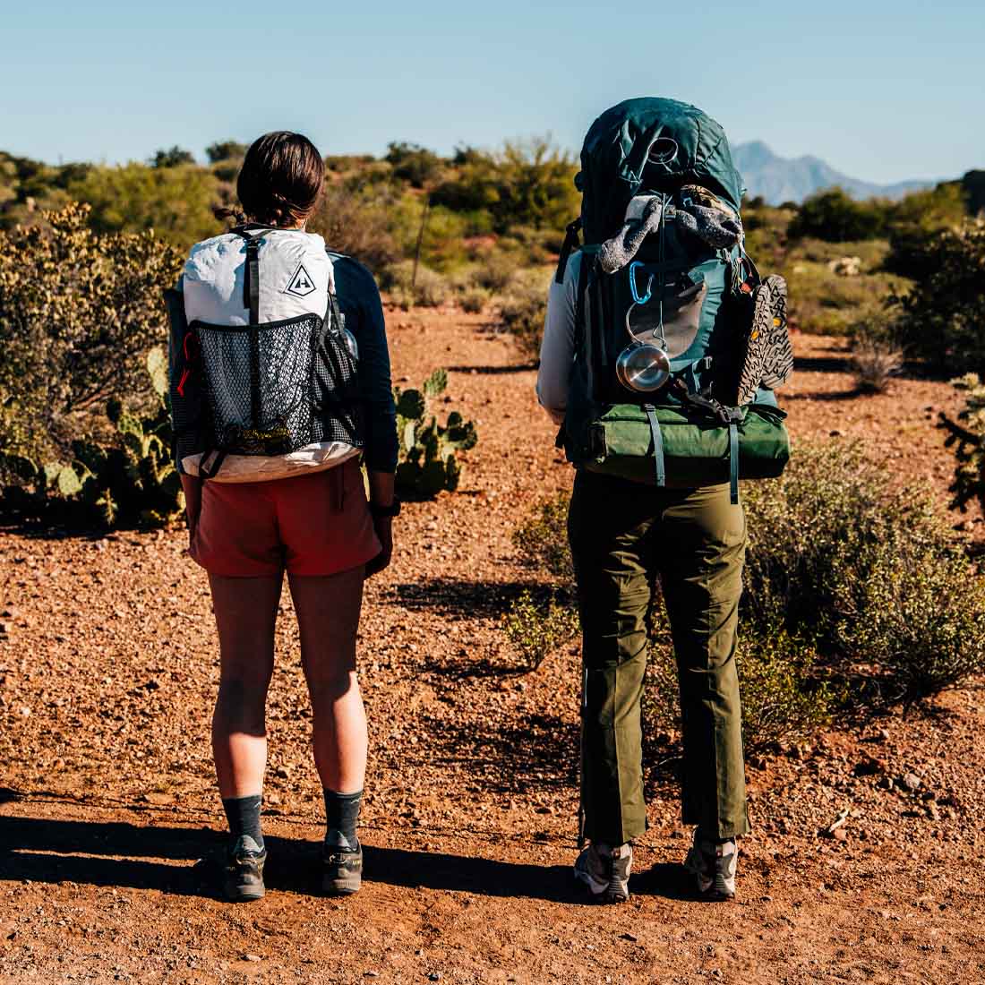 Two hikers with backpacks standing on a trail in a desert landscape.