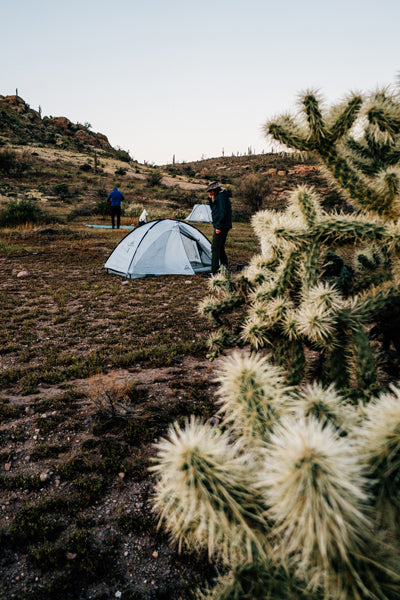 Camping scene with a tent in a desert landscape, featuring cacti in the foreground.