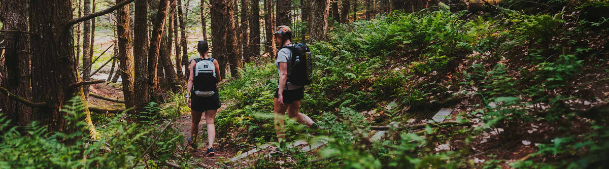 Two hikers with backpacks walking through a forest