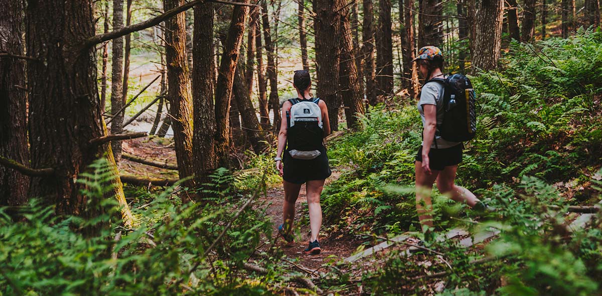 Two hikers with backpacks walking on a trail through a forest.
