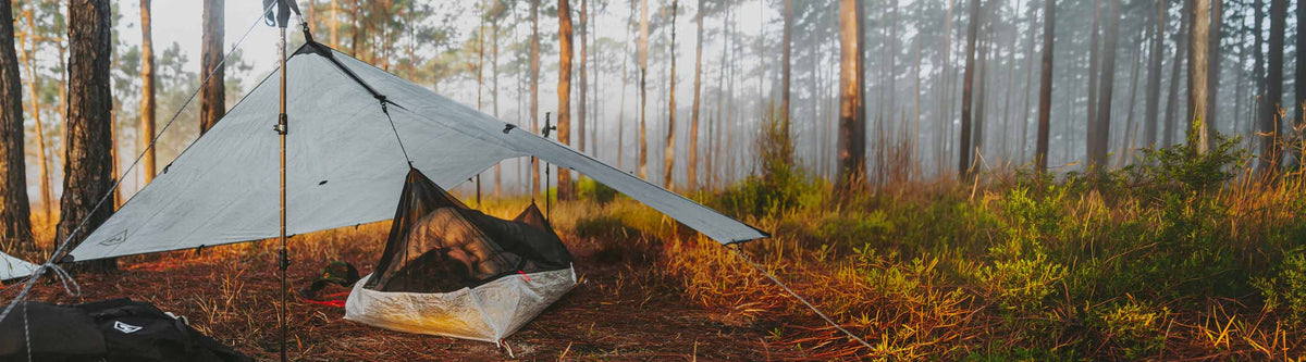Tent set up in a forest with a person inside, surrounded by trees and natural light.